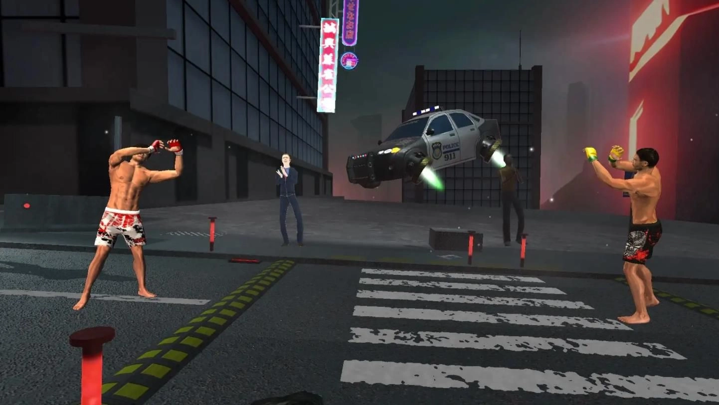 综合格斗新星(3)