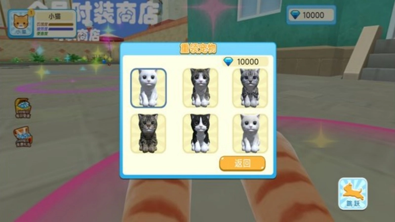 猫咪和奶奶的世界