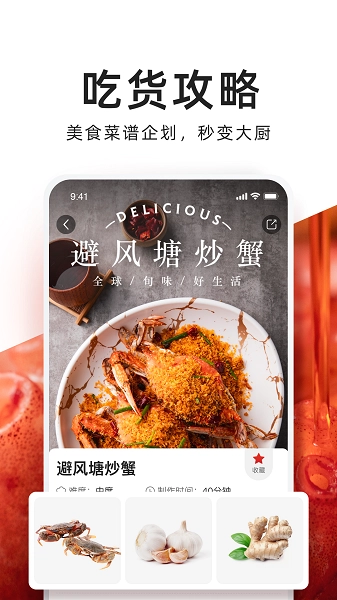 T11图5