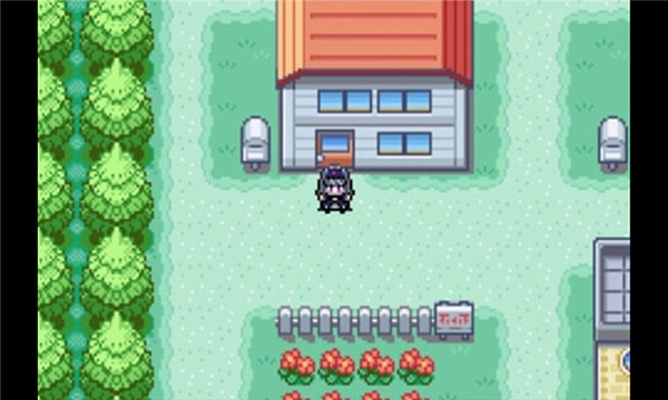 口袋妖怪火红图3