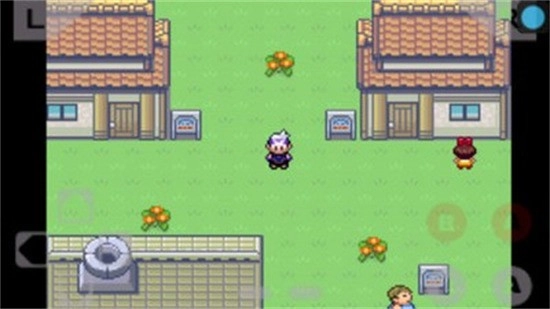 口袋妖怪绿宝石386完美版