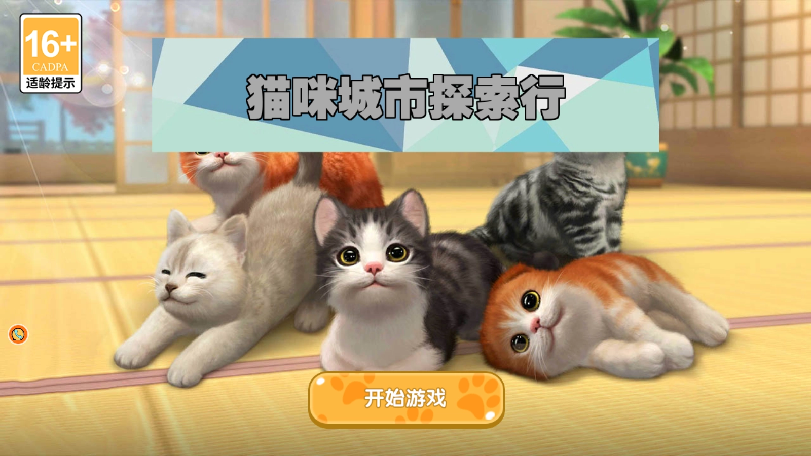 猫咪城市探索行