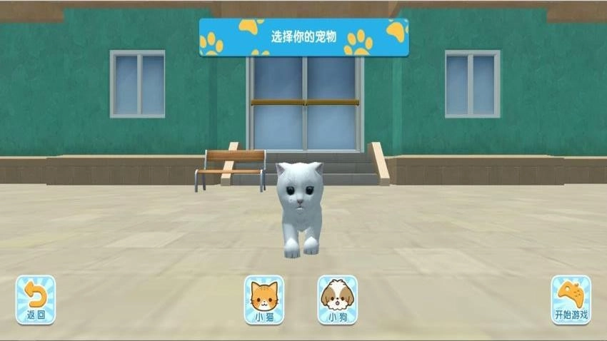 猫咪城市探索行