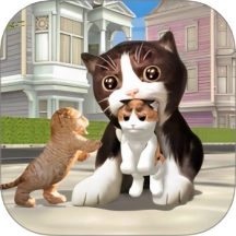猫咪城市探索行
