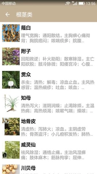 中草药宝典软件离线版-图3