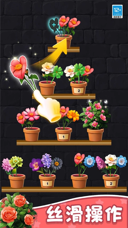 花儿朵朵消游戏最新安卓版图2