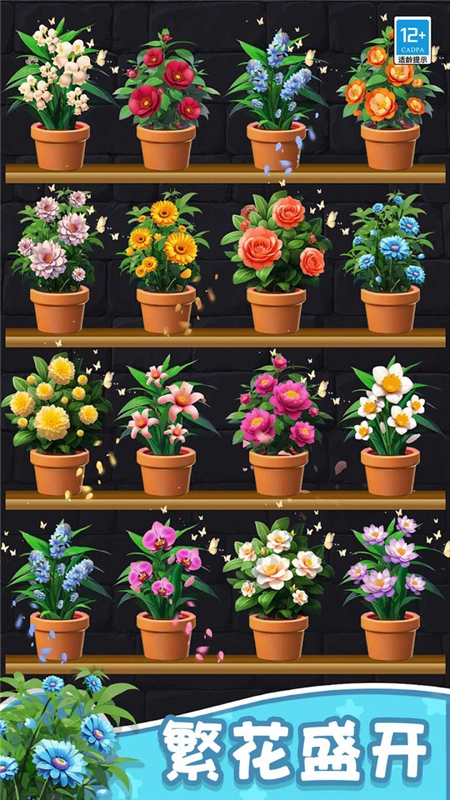 花儿朵朵消游戏最新安卓版图3