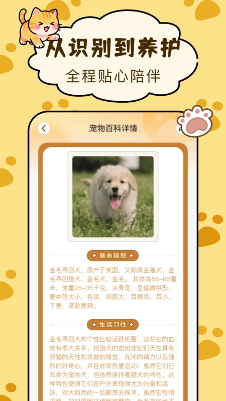 宠物伙伴百科