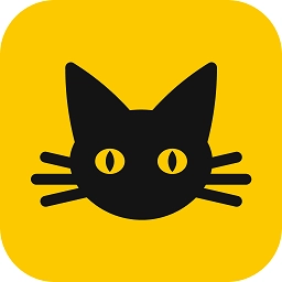 夜猫小说中文版