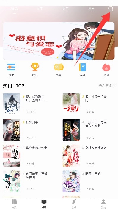 夜猫小说中文版安装下载
