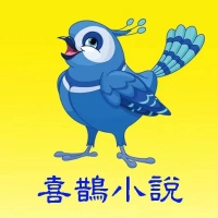​喜鹊小说 v1.0.4
