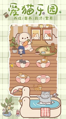 喵呜开门官方最新版图4