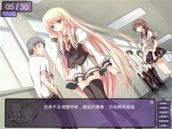 鸑鷟镜花水月图3