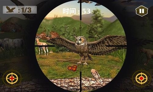 3d猫头鹰狩猎模拟(1)