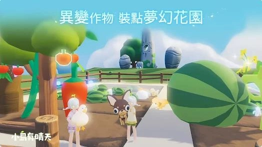 小岛有晴天2