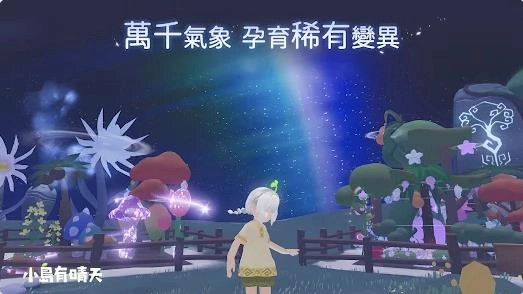 小岛有晴天4