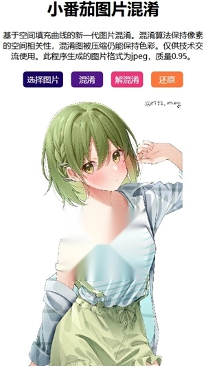 小番茄图片混淆netlify图2