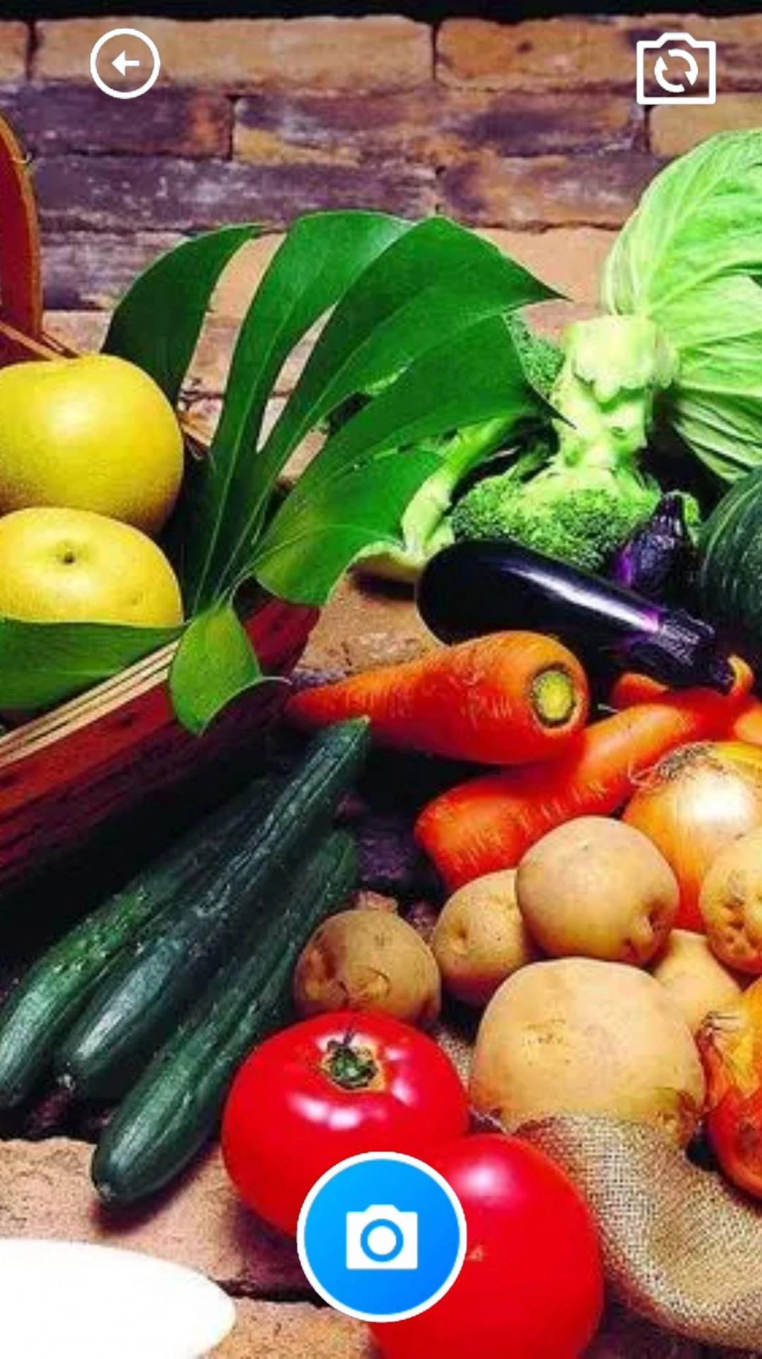 花蝶舞盒子最新版图3