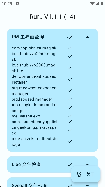 ruru环境检测正版图3