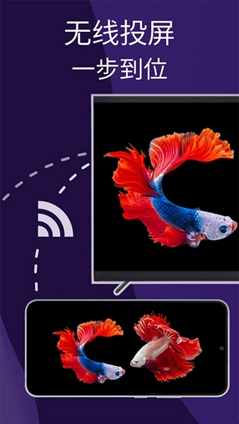 雨燕投屏?xí)T解鎖版截圖2