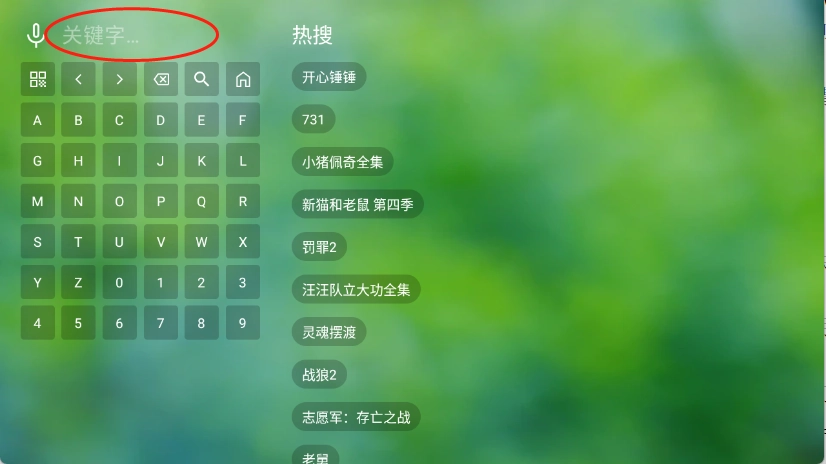 南风TV最新版图4