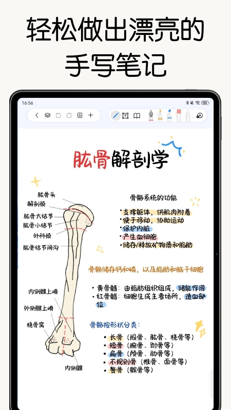 自由笔记  安卓版