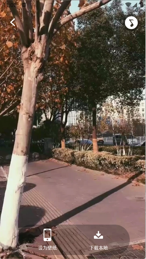 动态壁纸桌面安装软件免费版图1