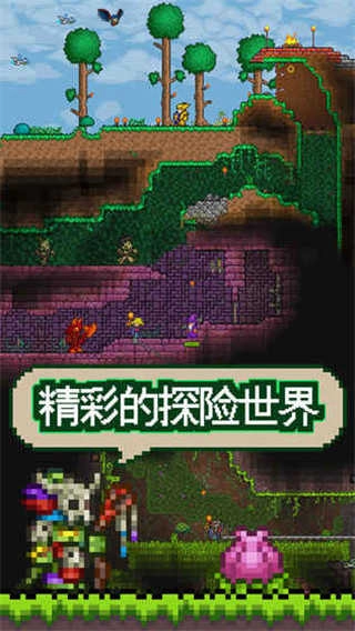 泰拉瑞亚手机版(2)