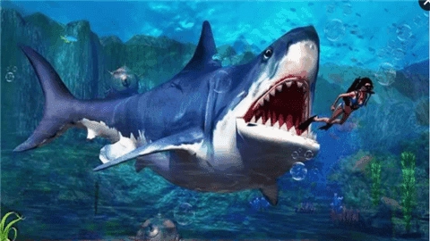 凶残之鲨Shark.io(2)