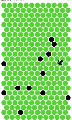 围小猫游戏图3