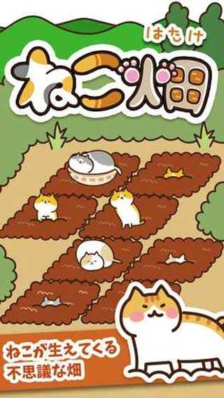 猫咪田园(ねこ畑)-图1