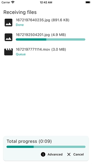 LocalSend 
