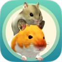 我的仓鼠中文版
