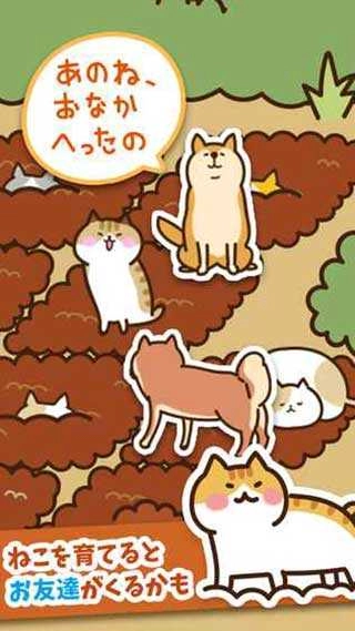 猫咪田园(ねこ畑)-图3