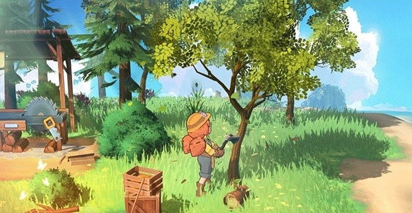 舒适的小岛最新版