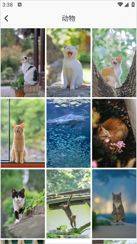 哈喽壁纸正版图2