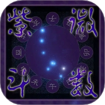 紫微斗数排盘