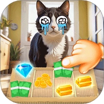 我是小猫猫游戏