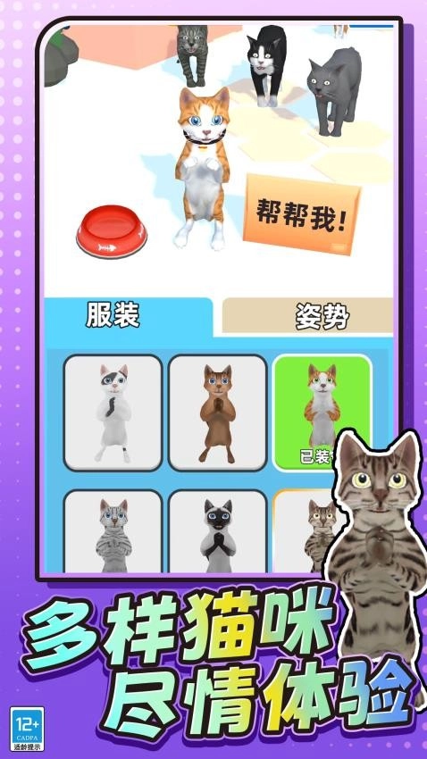 我是小猫猫游戏