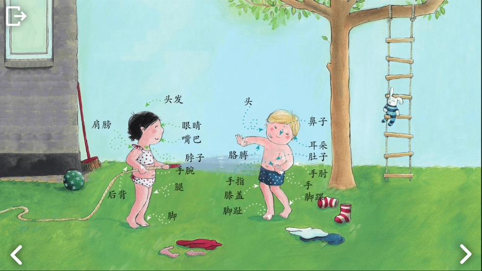 可爱的身体