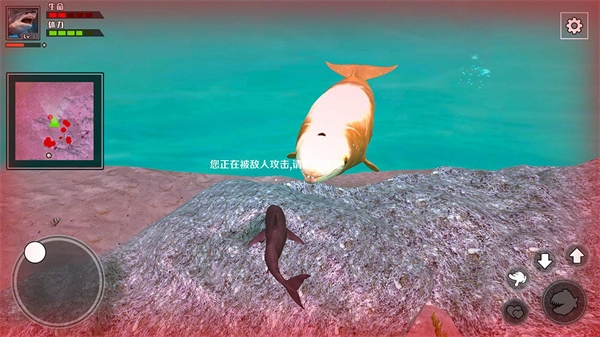 饥饿鲨鱼求生内购版图1