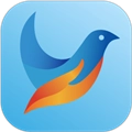 青鸽网 V4.0.8