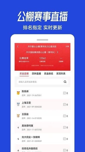 青鸽网图1