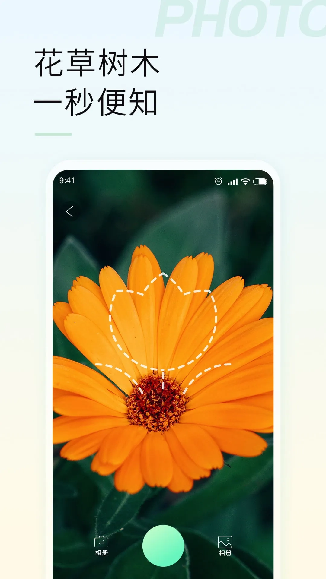 智能拍照识物最新安卓版图2