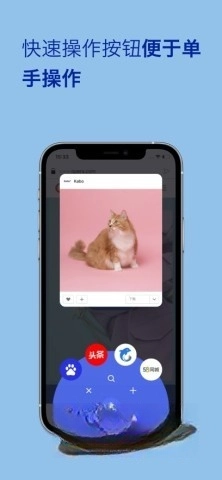 Opera浏览器图3