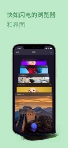 Opera浏览器图5