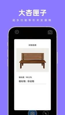 大杏匣子图1