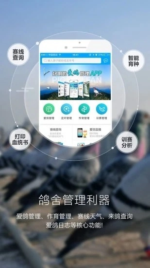爱鸽者手机版图3