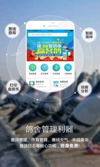 爱鸽者手机版图1