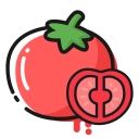 番茄轻断食正版